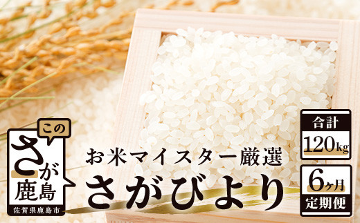 
                  《6ヶ月定期便》 佐賀県産 さがびより 白米 （毎月 20kg × 6回 ） 合計120kg R-1
                