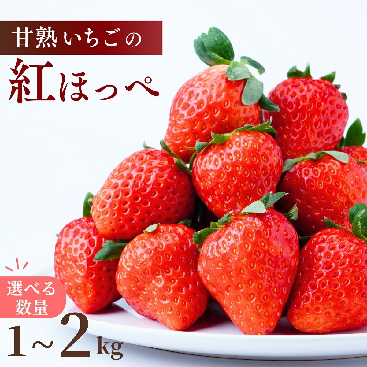 【ふるさと納税】甘熟いちごの紅ほっぺ 選べる数量 1kg or 2kg (1パックあたり250g) | いちご 苺 イチゴ 紅ほっぺ べにほっぺ 甘い 完熟 完熟いちご 濃厚 果物 フルーツ おやつ デザート ストロベリー パフェ いちご大福 ショートケーキ いちごサンド 茨城県 龍ケ崎市