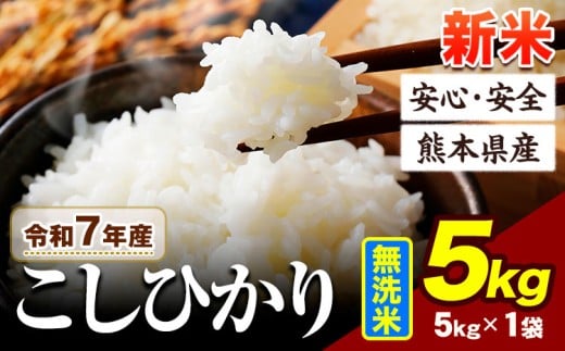 令和7年産 こしひかり 新米 5kg 《7-14日以内に出荷予定(土日祝除く)》令和7年産 熊本県産 ふるさと納税 無洗米 新米 ひの 米 こめ ふるさとのうぜい コシヒカリ コメ お米 おこめ