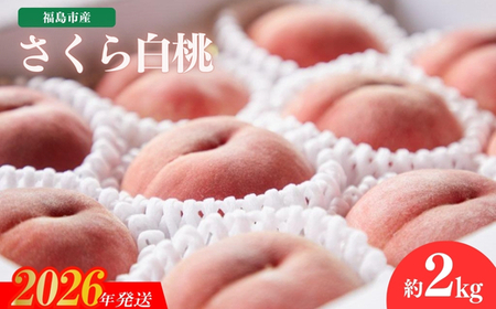 No.2724福島市産　さくら白桃　約2kg【2026年発送】