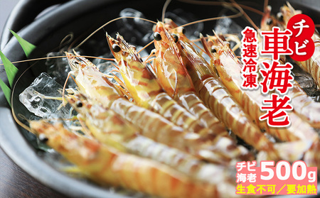 車海老【久米総合開発】急速冷凍チビ車海老：500g（要加熱） 車えび 海鮮