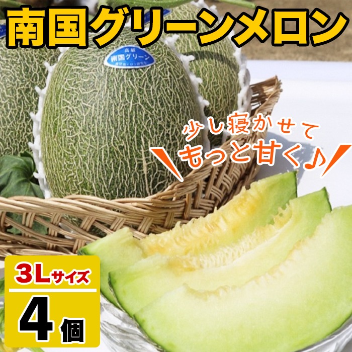 鹿児島県産！南国グリーンメロン(3Lサイズ×4個) メロン めろん 果物 スイーツ デザート フルーツ 【あくね旬の店いきいき館】akn015-18