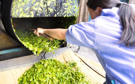 なっちゃんの煎茶40g入り×3袋セット / 和歌山 田辺市 健康 お茶 和風 煎茶 釜炒り茶 ティーバッグ 番茶【ntc010】