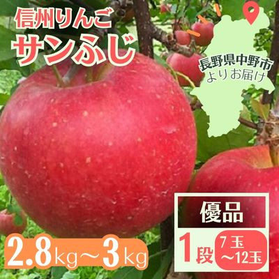 
            信州りんご サンふじ(1段)2.8kg～3kg 優品＜11月中旬より順次発送＞【1508410】
          