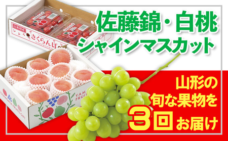 【定期便3回】☆フルーツ王国山形☆佐藤錦・白桃・シャインマスカット 【令和8年産先行予約】FS25-673 くだもの 果物 フルーツ 山形 山形県 山形市 2026年産