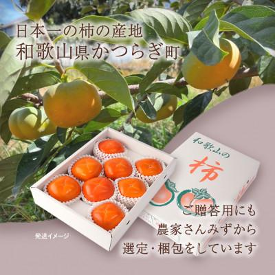 ふるさと納税 日高川町 先行予約!　紀の川柿(果実の中身が黒い!黒蜜柿)希少栽培!　秀品6個〜9個　こだわり農家厳選! |  | 02