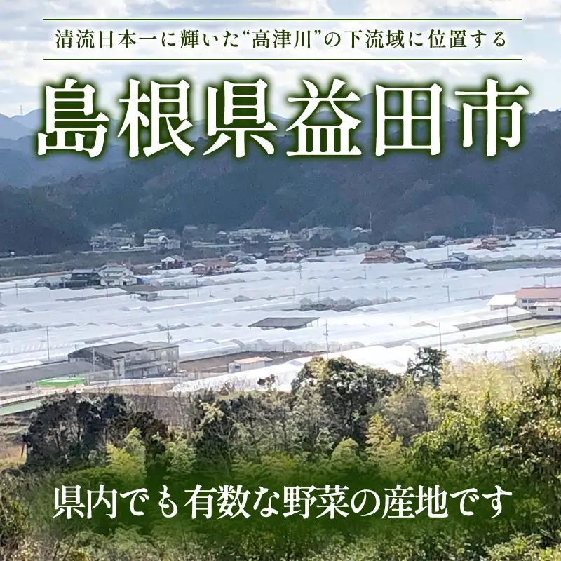 B-860 旬の野菜おまかせセット(引退競走馬の飼育寄付付き)