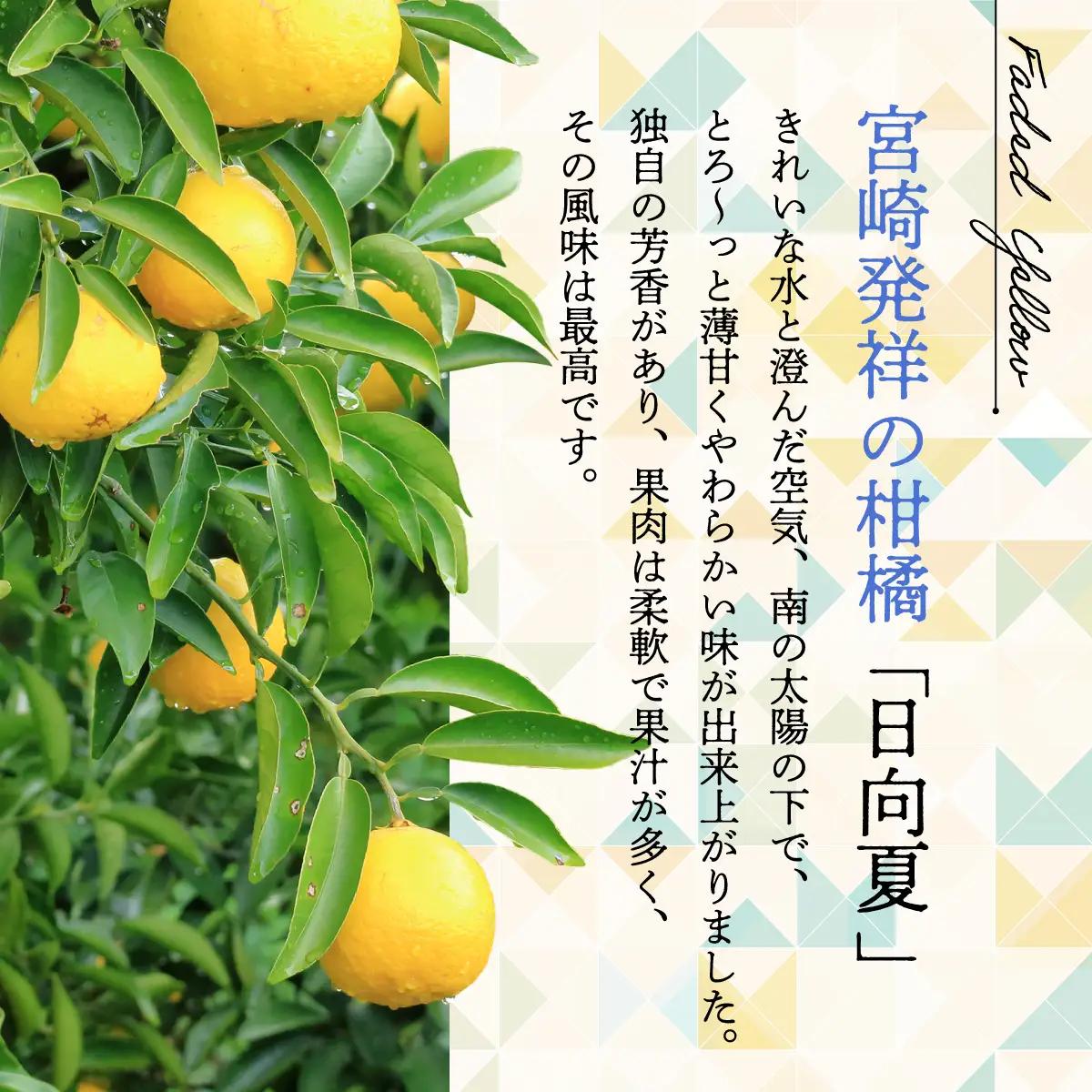 【先行受付】初春の旬「日向夏」種あり 5kg 果物 フルーツ くだもの 柑橘 フルーツサンド おやつ スイーツ デザート ジャム おすすめ ギフト 贈り物 贈答 プレゼント おすそ分け お返し 宮崎県