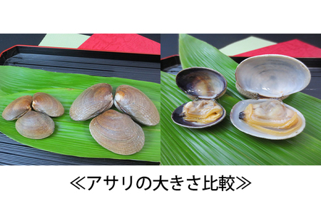 北海道厚岸産　特大あさり（砂出し済み）ムキ牡蠣（生食用）セット 魚貝類 生牡蠣 かき アサリ 浅利 食べ比べ