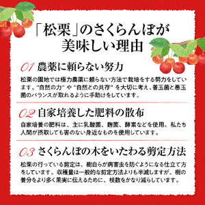 【2025年産　先行予約】真の桜桃 佐藤錦 超特秀 1kg 山形県 東根市　hi004-hi062-032-1 令和7年産 ふるさと納税 さくらんぼ サクランボ フルーツ 果物 くだもの 期間限定 冷