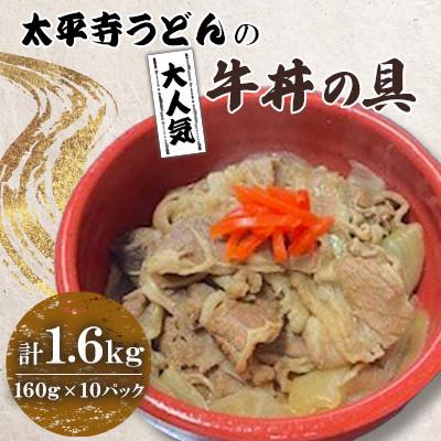 ふるさと納税 高鍋町 太平寺うどんの大人気牛丼の具　計1.6kg(160g×10個)