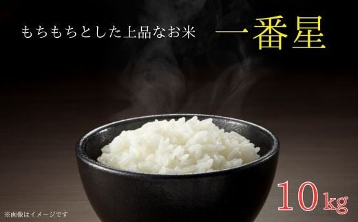 《 令和7年産 》米  もちもちで上品な食感「一番星」精米10kg ／ 米 こめ コメ お米 おこめ 一番星 新米 白米 ごはん 令和7年産 10kg 茨城県 利根町 送料無料