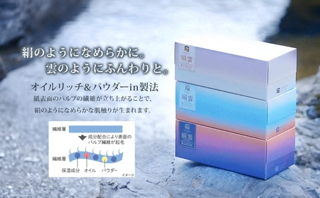 頒布会2回 新保湿ティッシュ 絹雲 ボックスティッシュ 130組( 3枚重ね )×15箱 河野製紙 アヴォンリーキース 10箱 やわらかい まとめ買い 備蓄 日用品 常備品 消耗品 大容量 防災 埼玉