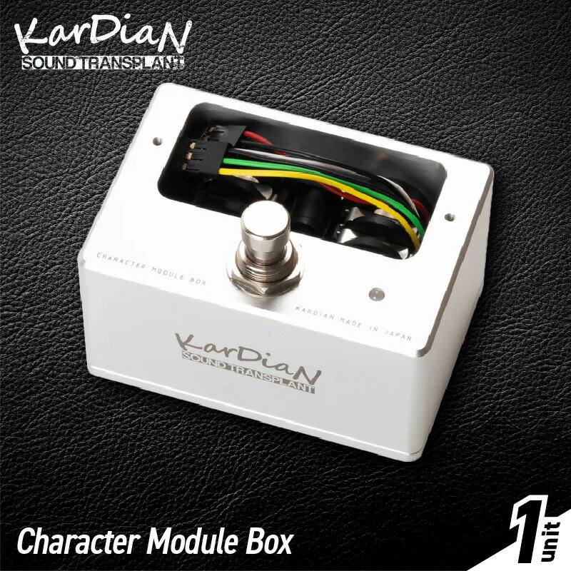 【ふるさと納税】Character Module Box 手のひら サイズ 無限 サウンド キャラクターモジュール 複数台 所有 モジュール ペダル使用 省スペース 導入 可能 エフェクター エレキ ギター ベース 楽器 サウンド アクセサリ 音響機材 お取り寄せ 滋賀県 守山市 送料無料
