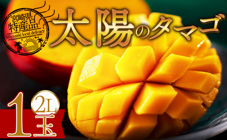 ＜宮崎県産完熟マンゴー 太陽のタマゴ  2L 合計1玉＞入金確認後、2025年7月初旬迄に順次出荷【 選べる 大きさ サイズ 国産 かんじゅく とろける 果物 果実 フルーツ 南国 芳醇 甘い 旬 濃厚 贈り物 プレゼント（株）ワイドワイドトレード 宮崎県 国富町