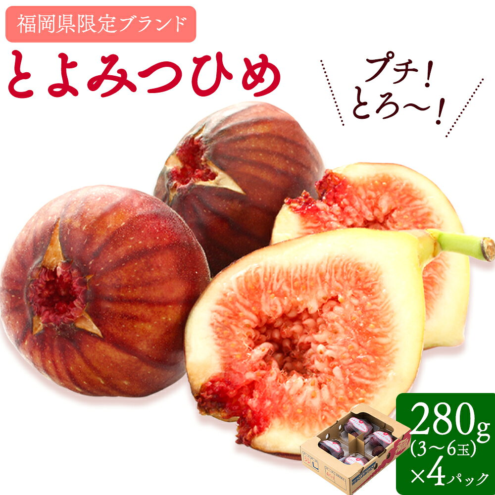 【ふるさと納税】いちじく 無花果 とよみつひめ 280g × 4パック 《8月中旬-10月中旬頃出荷》福岡県 小竹町 福岡県産 いちじく フルーツ 果物