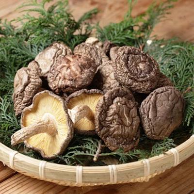 ふるさと納税 つくば市 干ししいたけ(原木栽培)
