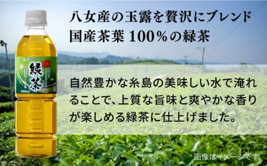 八女 玉露入り 緑茶 500ml × 24本  糸島市 / スターナイン お茶 ペットボトル [ARM004]