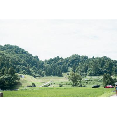 ふるさと納税 魚津市 【新米】天日干し こしひかり「富の環」　玄米10kg【北アルプス早月川最上流の棚田米】 |  | 03