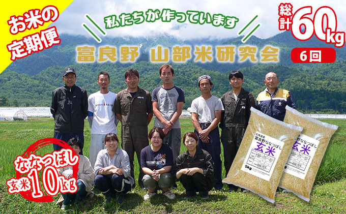 【令和6年度産】◆6ヵ月定期便◆ 富良野 山部米研究会【 ななつぼし 】玄米 5kg×2袋（10kg）お米 米 ご飯 ごはん 白米 定期 送料無料 北海道 富良野市 道産 直送 ふらの