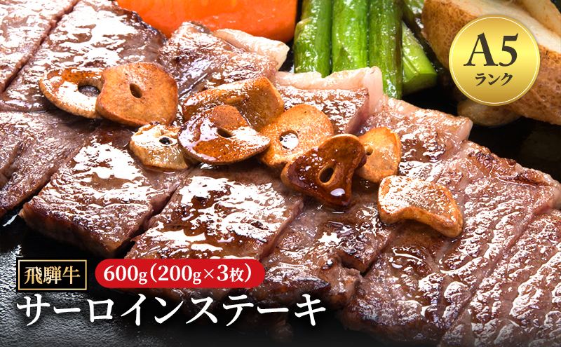 飛騨牛 牛肉 肉 ステーキ サーロイン 600g 200g×3枚 A5 和牛 【岐阜県瑞穂市】