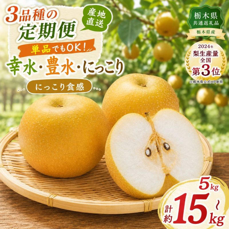 
                  【数量限定】梨 なし 栃木県産 にっこり 幸水 豊水 食べ比べ 定期便 5kg｜フルーツ 果物 栃木県共通返礼品
                