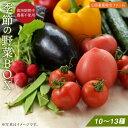 【ふるさと納税】長崎県産　季節野菜 BOX 10～13種 詰め合わせ＜山田畜産総合ファーム＞