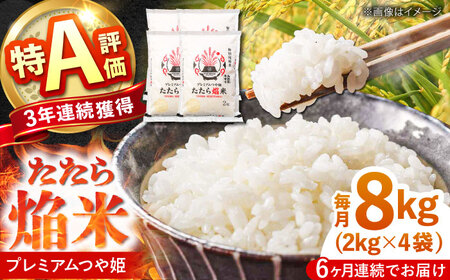 米【6回定期便】プレミアムつや姫たたら焔米 8kg 定期便 [AIBR008]