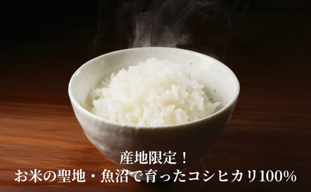 【パックご飯】魚沼産こしひかり パックご飯12個 