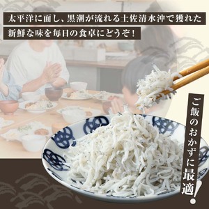 浜口海産物店のちりめんじゃこ（70ｇ× 12袋）小分けセット シラス 釜揚げ しらす丼 ちりめん丼 かちりじゃこ 詰め合わせ セット おつまみ 料理 地元特産 海産物 無添加 高知 【R01596】