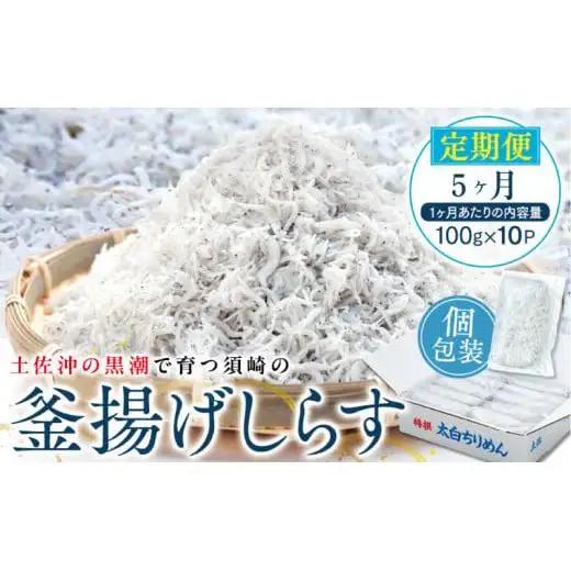 【 しらす 】 釜揚げしらす定期便 5ヶ月