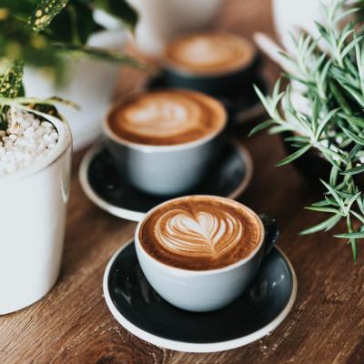 ふるさと納税 泉大津市 【自家焙煎珈琲】モカブレンド300×2袋入り(中挽き)焙煎仕立ての珈琲豆をお届け! |  | 02