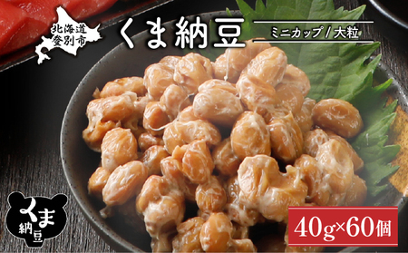 北海道くま納豆ミニカップ 大粒 60個 《順次発送》 国産 なっとう ナットウ 高級 大豆 厳選 老舗 栄養 発酵 ふるさと納税 北海道 登別市