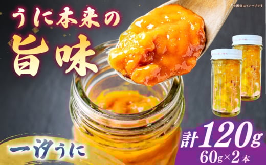 【年内発送】一汐うに 60ｇ×2本 ≪壱岐市≫【馬渡水産】[JAQ014] 生ウニ うに ウニ 雲丹 紫うに ムラサキウニ 海鮮 鮮魚