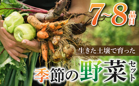 【先行受付2026年発送】長野県東御市産生きた土壌で育った『季節の野菜セット』（7～8品目）｜里山JAPAN　※2026年7月から発送開始