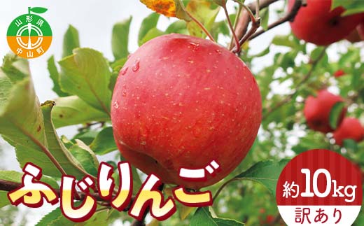 令和8年産 山形県産 サンふじりんご＜訳あり＞ 10kg 32玉～56玉 数量限定 林檎 リンゴ フルーツ 果物 くだもの 家庭用 山形県産 F4A-0380