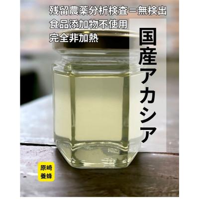 ふるさと納税 森町 【白色金に輝く】国産アカシア蜂蜜 120g【森町SF】