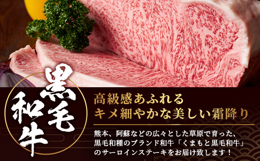 【A4〜 A5等級】くまもと黒毛和牛サーロインステーキセット 1kg（ 250ｇ×4枚 ） ブランド 牛肉 肉 サーロイン ステーキ 250ｇ×4枚 記念日 4人分 ご馳走 ご褒美 和牛 国産 熊本県