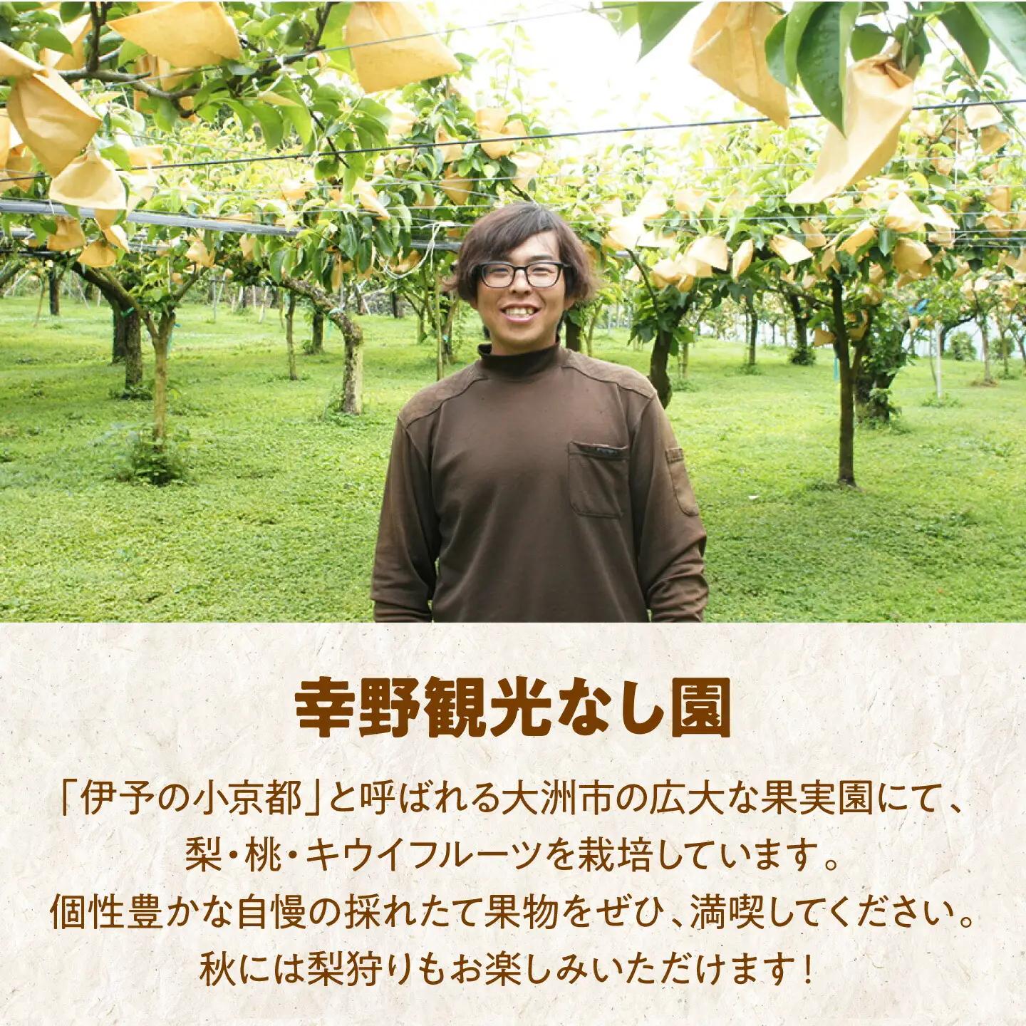梨 2kg（新高）梨 なし [AGBD001]