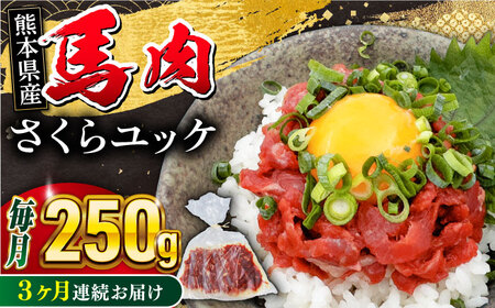 【全3回定期便】 馬肉さくらユッケ 5パック ユッケ ユッケ ユッケ ユッケ ユッケ [YBZ032]