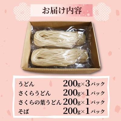 ふるさと納税 与謝野町 菊水うどん・そば 4種セット (うどん×3、さくらうどん×1、さくらの葉うどん×1、そば×1) |  | 03