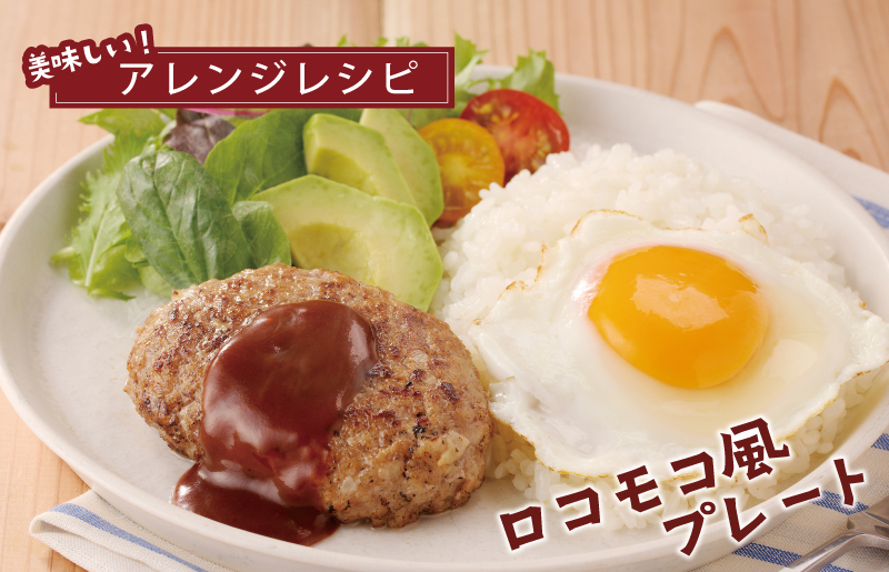 【泉佐野ブランド豚】犬鳴豚の手作りプレミアムハンバーグ（20個入り）【国産 豚肉 ぶたにく 犬鳴ポーク 普段使い】 099H4476_イメージ4