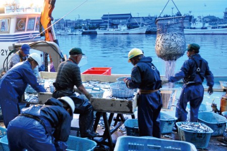 魚 富山湾直送 さばいた鮮魚セット 3～4種 旬 新鮮 鮮魚 刺身 詰め合わせ 産地直送 冷蔵/くろべ漁業協同組合 魚の駅「生地」/富山県 黒部市 海鮮 魚介類 魚介 