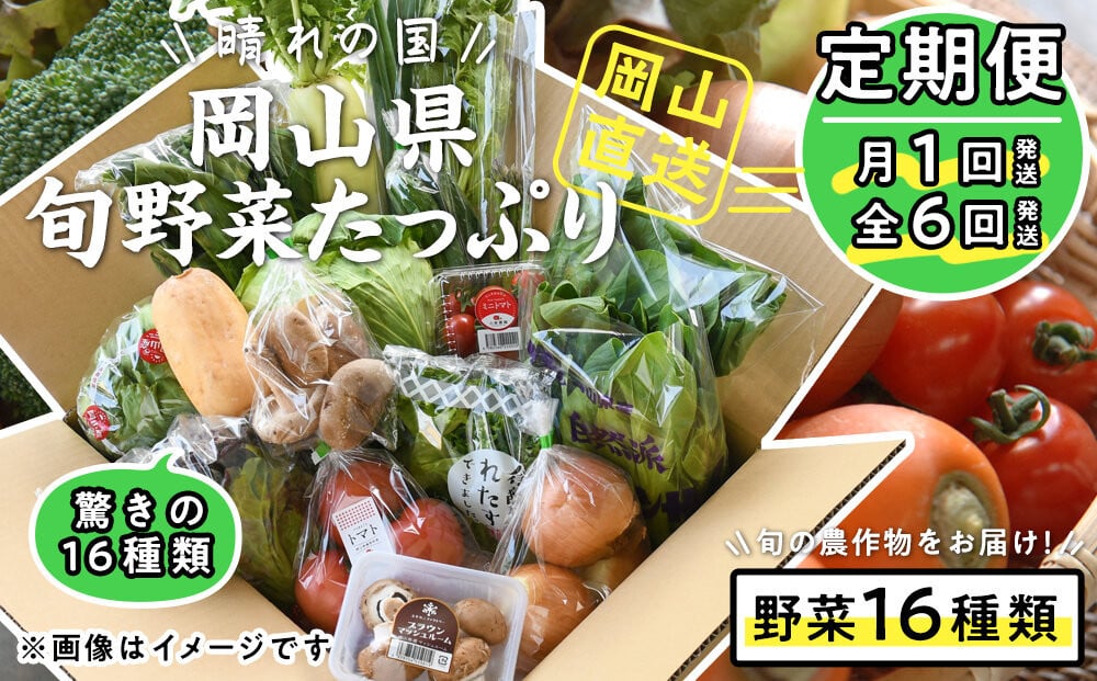 
            【定期便】晴れの国おかやま　旬野菜たっぷり16種〈月1回・全6回〉
          