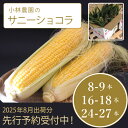 【ふるさと納税】2025年夏の予約受付開始！ 小林農園のとうもろこし「サニーショコラ（2Lサイズ）8-9本 / 16-18本 / 24-27本セット」朝採りのとうもろこしを生産者から直送｜令和7年7月~8月出荷開始！【長野県信濃町ふるさと納税】