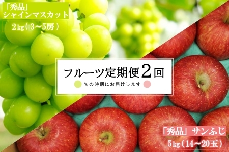 【2025年発送】【定期便2回】山形旬の果物2選（シャインマスカット/りんご）_H183(R7)