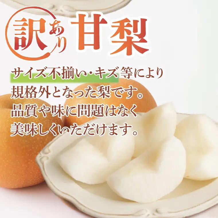 【8月中旬より発送】【数量限定】訳あり 甘梨（なし） 約3kg（茨城県共通返礼品／かすみがうら市）（FW-8）