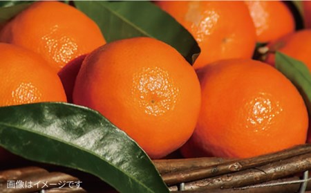 【全12回定期便】こだわり 野菜 （7品前後） セット ＋ 果物 《糸島》【 オーガニックナガミツファーム】[AGE013] 野菜セット 野菜 やさい サラダ 詰め合わせ トマト とまと