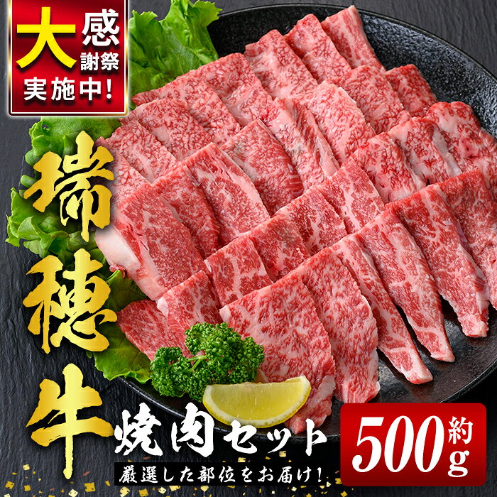 【ふるさと納税】 瑞穂牛焼肉セット 約500g 牛肉 やきにく 国産 牛肉 バラ 肩ロース 肩 肩バラ トモサンカク イチボ ブランド牛 茨城県 焼肉の日 瑞穂牛 焼肉 詰め合わせ 食べ比べ 国産 BBQ 【（株）フロンティアロード】【ho0858-1】