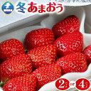 【ふるさと納税】福岡県産 冬あまおう 2パック 4パック 南国フルーツ株式会社《12月上旬-1月末頃出荷》福岡県 鞍手町 あまおう いちご イチゴ 送料無料【配送不可地域あり】